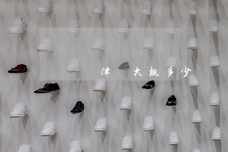 請辯護律師大概多少錢(請個辯護律師要多少錢)