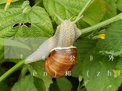 論《紐約公約》與外國仲裁裁決的承認(rèn)和執(zhí)行