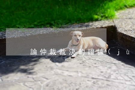 論仲裁裁決的證據(jù)效力