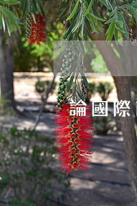 論國際商事仲裁中的法院干預(yù)