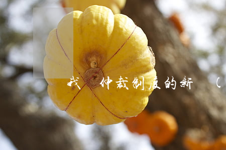 論我國仲裁制度的新發(fā)展
