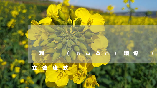 論我國環(huán)境保護(hù)法的立法模式