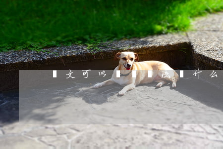 論文可以寫勞動法嗎(什么是勞動論文)