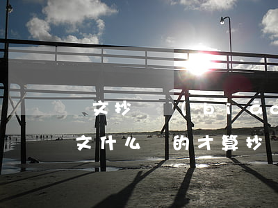 論文抄襲標(biāo)準(zhǔn)(論文什么樣的才算抄襲)