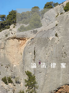 論法律案件的方法與邏輯重要性