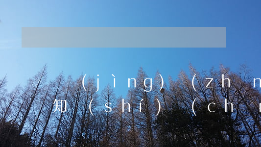 論競(jìng)爭(zhēng)自由與知識(shí)產(chǎn)權(quán)保護(hù)