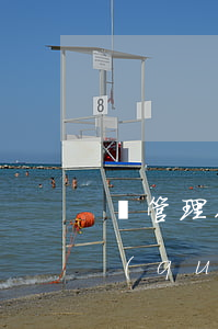 論管理人對(duì)待履行合同的選擇權(quán)