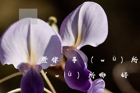 諸暨律師事務(wù)所哪個好(諸城律師事務(wù)所哪個好)