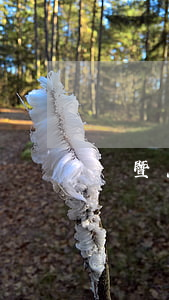 諸暨怎么辦離婚