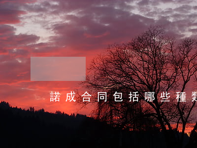諾成合同包括哪些種類