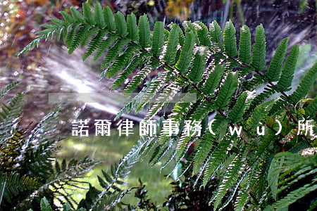 諾爾律師事務(wù)所怎么樣
