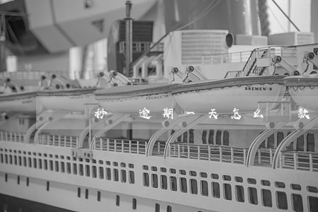 諾秒貸逾期一天怎么還款(諾秒貸最新消息)