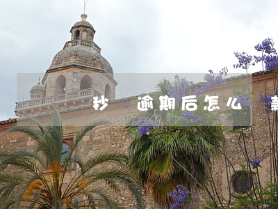 諾秒貸逾期后怎么還款(諾秒貸最新消息)