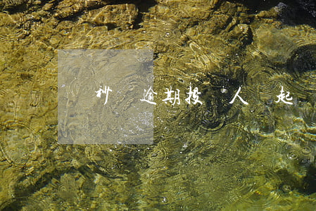 諾秒貸逾期投資人會起訴嗎-諾秒貸非法集資