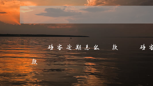 諾諾磅客逾期怎么還款(諾諾磅客逾期怎么還款)