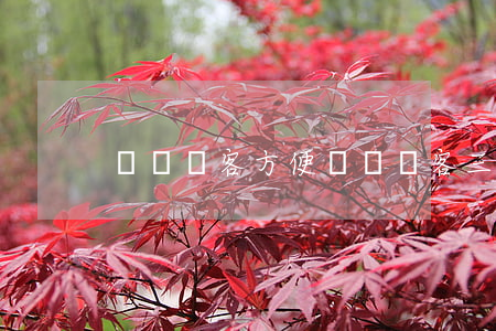 諾諾鎊客方便(諾諾鎊客三年沒(méi)還)