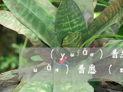 諾遠(yuǎn)普惠貸款還不起 諾遠(yuǎn)普惠說(shuō)起訴我