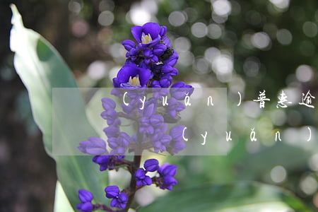諾遠(yuǎn)普惠逾期會(huì)起訴嗎(諾遠(yuǎn)普惠發(fā)來(lái)開(kāi)庭公告)
