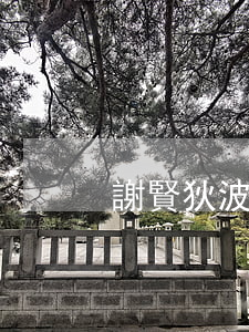 謝賢狄波拉為什么離婚