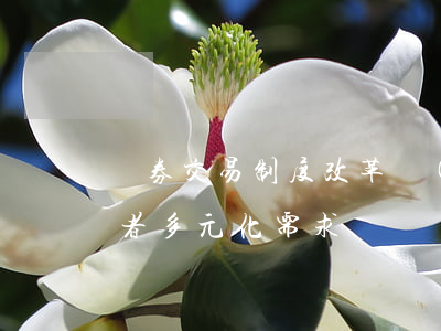 證券交易制度改革應(yīng)滿足投資者多元化需求