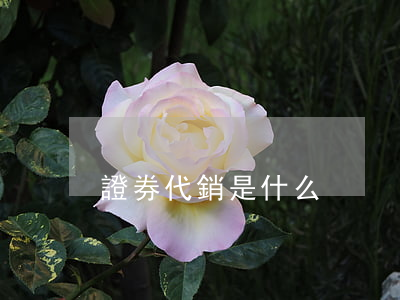 證券代銷是什么