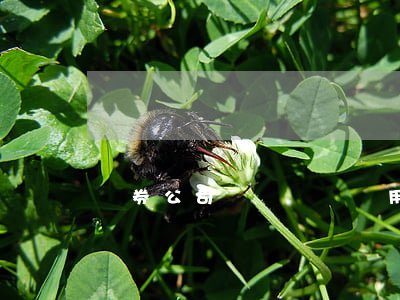 證券公司開戶時間,費用是多少