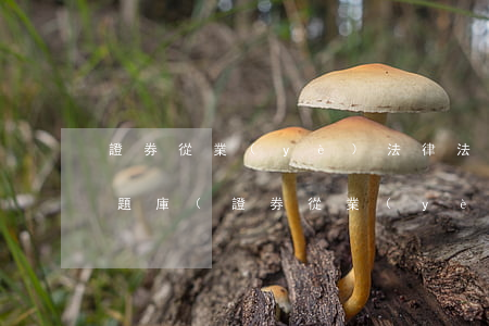 證券從業(yè)法律法規(guī)考試題庫(證券從業(yè)資格的題目)