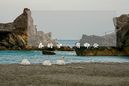 證券的分類有哪些