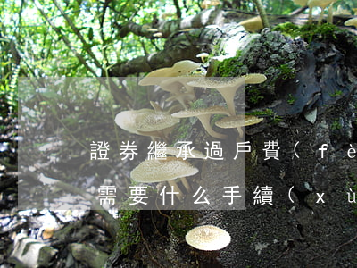 證券繼承過戶費(fèi)怎么算(股票繼承需要什么手續(xù)費(fèi))
