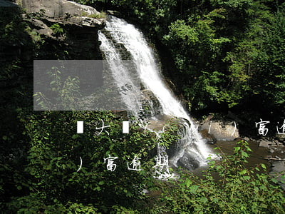 證大財(cái)富逾期-證大財(cái)富逾期