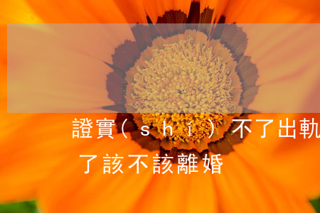證實(shí)不了出軌該不該離婚(我出軌了該不該離婚)