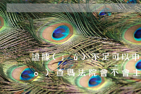 證據(jù)不足可以申請法院調(diào)查嗎(法院會不會主動(dòng)調(diào)查證據(jù))