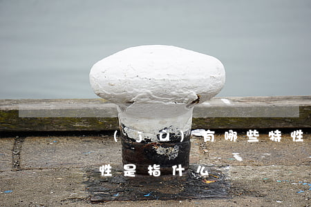 證據(jù)有哪些特性,證據(jù)的真實性是指什么