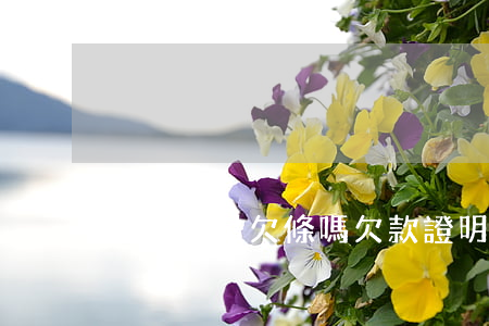 證明條是欠條嗎(欠款證明和欠條的法律)