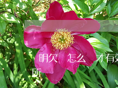 證明欠條怎么寫才有效(怎么證明欠條是本人所寫)