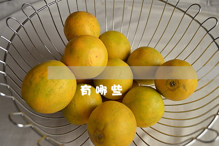 證書有哪些