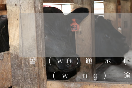 警務(wù)通顯示網(wǎng)貸逾期嗎(網(wǎng)貸逾期警察打電話過(guò)來(lái)了)