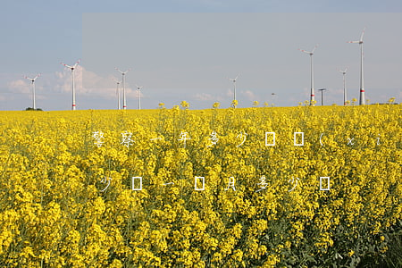 警察一年多少錢(現(xiàn)在做警察多少錢一個月多少錢)