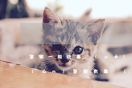 警察一般比事業(yè)編制多多少錢(qián)(警察有事業(yè)編制嗎)
