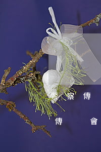 警察傳喚信用卡逾期人-欠信用卡被派出所傳喚會(huì)拘留嗎?