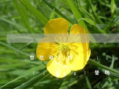 警察可以調(diào)查公司是否違法經(jīng)營嗎