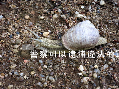 警察可以逮捕違法的軍人嗎