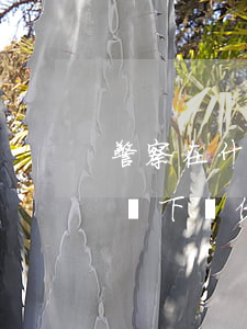 警察在什么情況下會借錢給你(警察在什么情況下會借錢給你)