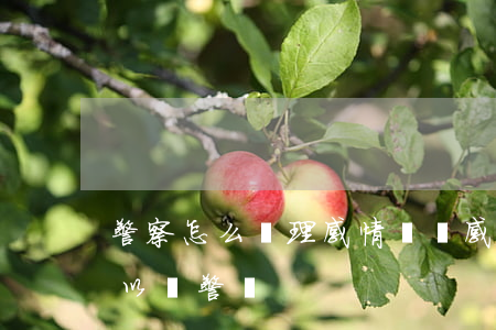 警察怎么處理感情糾紛(感情糾紛怎么解決可以報警嗎)