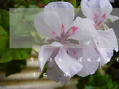 警察怎么處理被婆婆冤枉偷錢(婆婆偷我們錢怎么處理)