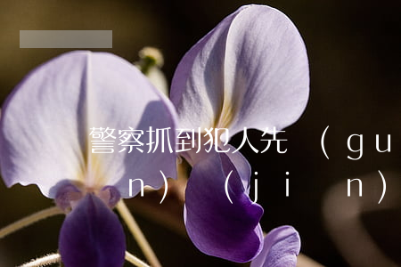 警察抓到犯人先關(guān)進關(guān)監(jiān)獄嗎