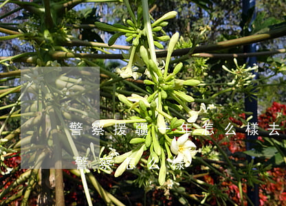 警察援疆一年怎么樣(去新疆當(dāng)警察怎么樣)