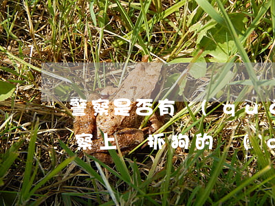警察是否有權(quán)上門抓狗（普法警察上門抓狗的權(quán)利存在嗎）