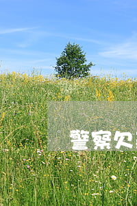 警察欠款錢(欠款警察能管嗎)