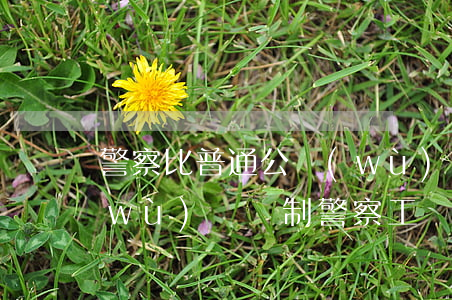 警察比普通公務(wù)員多多少錢(公務(wù)員編制警察工資多少錢一個(gè)月)